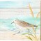 Sandpiper Beach by Cynthia Coulter 14" x 14" Canvas Wall Art (Set of 2)